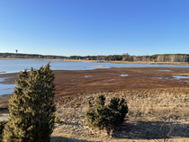 Raisiolahden liete
Kuva © Jenni Lindstedt